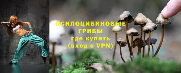 шишки Зеленодольск