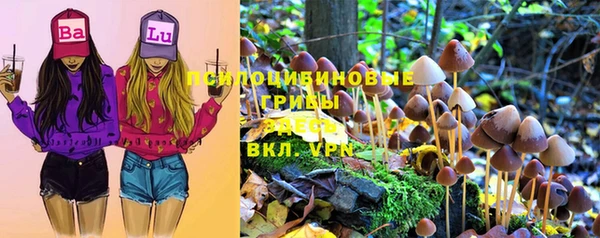 a pvp Зерноград