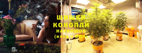 шишки Зеленодольск